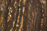 Polished Tiger Iron Stromatolite Slab - Billion Years #221969-1